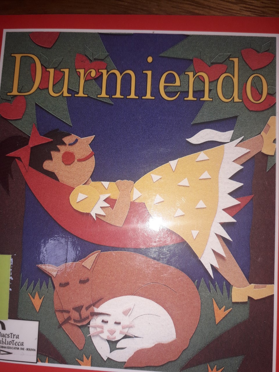 Durmiendo